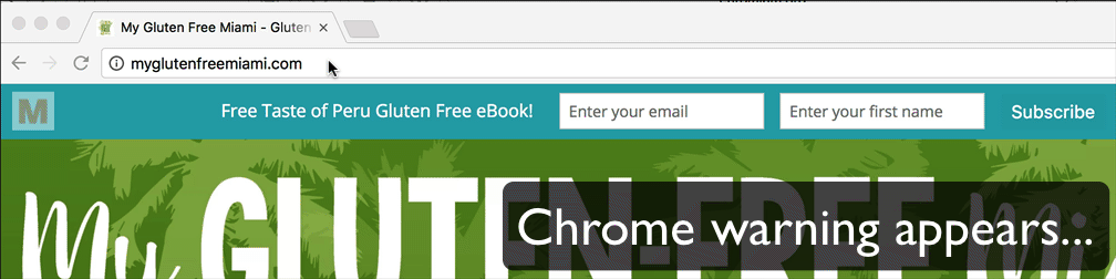 Chrome warning on food blog as user enters email to subscribe to mailing list